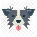 Perro collie fronterizo  Icono