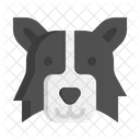 Border Collie Perro Perro Icono