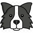 Perro collie fronterizo  Icono