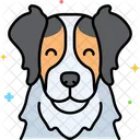 Perro collie fronterizo  Icono