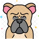 Perro bulldog  Icono