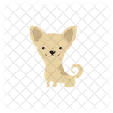 Perro chihuahua  Icono