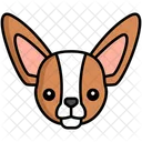 Chihuahua Perro Perro Icono