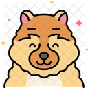 Perro chow chow  Icono