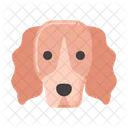 Perro cocker spaniel  Icon