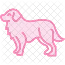 Perro De Montana Bernes Perro De Montana Bernes Perro Icono