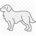 Perro De Montana Bernes Perro De Montana Bernes Perro Icono