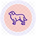 Perro De Montana De Bernese Icono