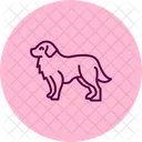 Perro De Montana Bernes Perro De Montana Bernes Perro Icono