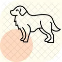 Perro De Montana Bernes Perro De Montana Bernes Perro Icono