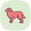 Perro De Montana Bernes Perro De Montana Bernes Perro Icono