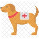 Perro De Rescate Perro De Busqueda Y Rescate Perro SAR Icono