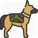 Perro del ejército  Icono