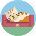 Durmiendo Gatito Gato Icon