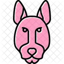 Perro Faraon Mascota Animal Icon