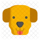 Perro golden retriever  Icon