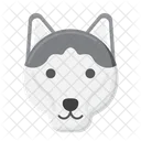 Perro husky siberiano  Icon