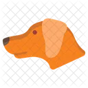 Perro  Icono