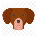 Perro labrador retriever  Icon