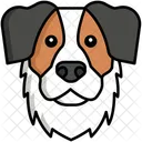 Pastor Australiano Perro Perro Icono