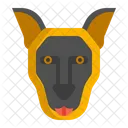 Malinois Belga Perro Perro Icono