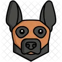 Malinois Belga Perro Perro Icono