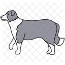 Perro Pastor Icono