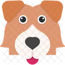 Perro Pastor De Shetland Lindo Sheltie Icono