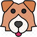 Perro Pastor De Shetland Lindo Sheltie Icono