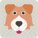 Perro Pastor De Shetland Lindo Sheltie Icono