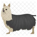 Razas De Perros Especies De Perros Perro Icono