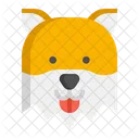 Pomerania Perro Perro Icono