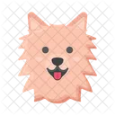 Pomerania Perro Perro Icono