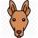 Faraon Hound Perro Perro Icono