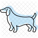 Perro Salchicha Perro Mascota Icono