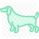 Perro Salchicha Perro Mascota Icono