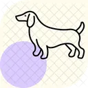 Perro Salchicha Perro Mascota Icono