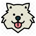 Perro samoyedo  Icono