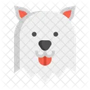 Samoyedo Perro Perro Icono