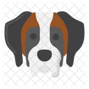 Perro san bernardo  Icon