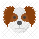 Perro shih tzu  Icon