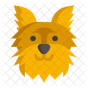 Perro yorkshire terrier  Icon