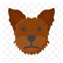 Perro yorkshire terrier  Icon