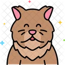 Persian Cat  Icon