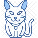 Persian Cat Fluffy Quiet Icon