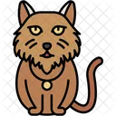 Persian Cat Fluffy Long Haired Icon