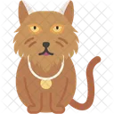 Persian Cat Fluffy Long Haired Icon