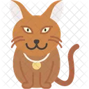 Persian Cat Fluffy Quiet Icon