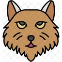 Persian Cat Fluffy Long Haired Icon