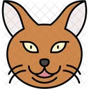 Persian Cat Fluffy Quiet Icon